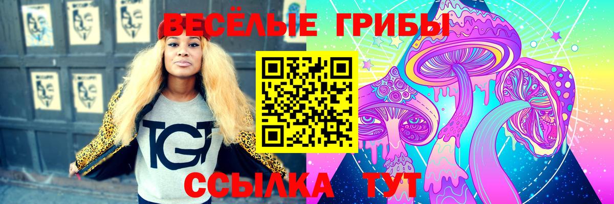 Галлюциногенные грибы прущие грибы Аксай