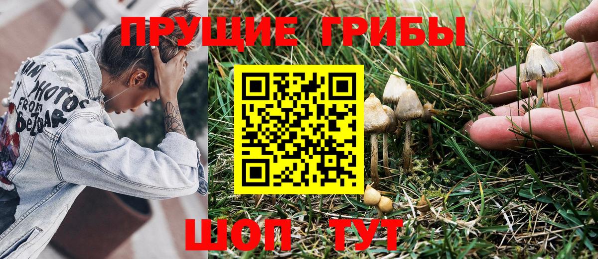 Галлюциногенные грибы мицелий  Вход с VPN  Аксай 