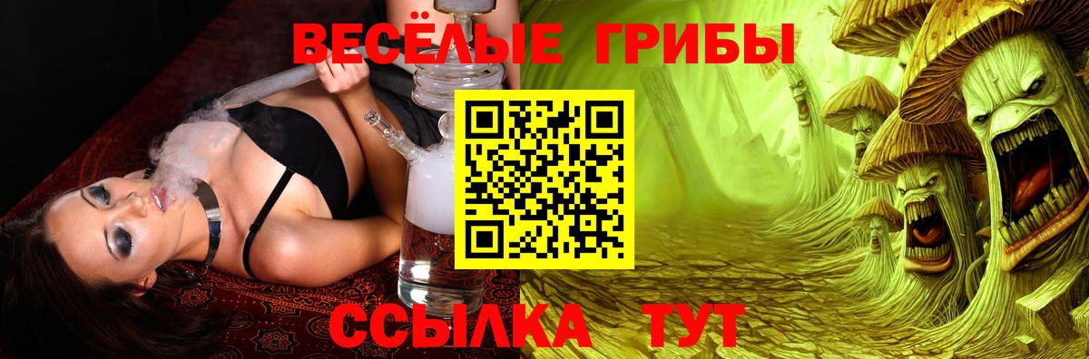 Псилоцибиновые грибы Cubensis Аксай