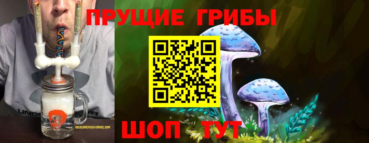 Галлюциногенные грибы Psilocybe  Аксай 